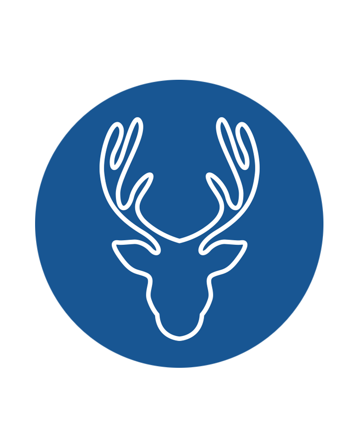 Deer-1